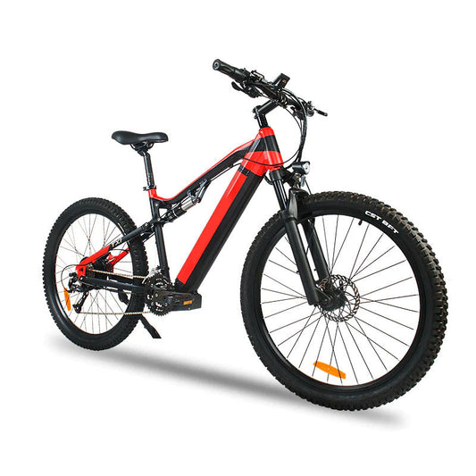Pro E-Bike 500W