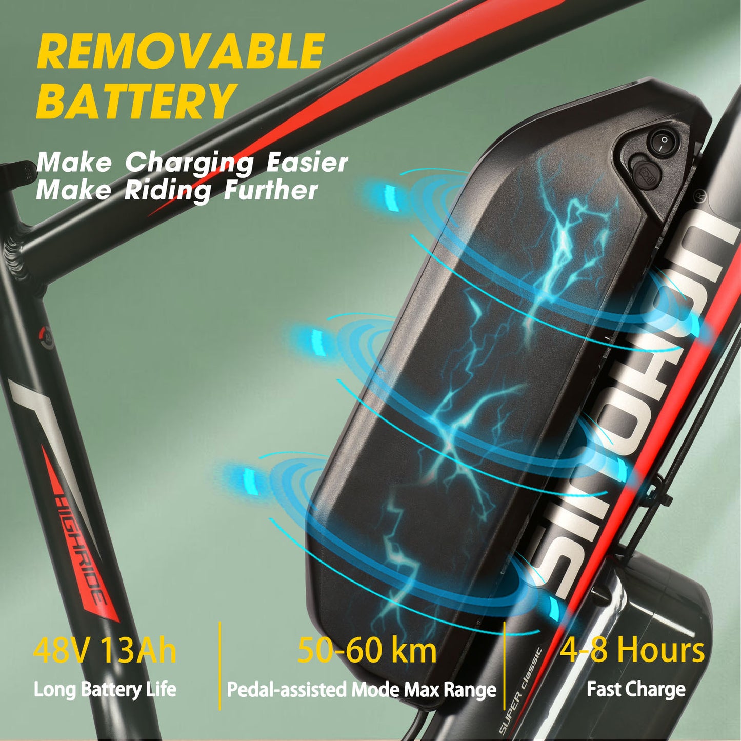 Pro E-Bike 1000W