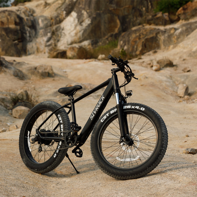Pro Electric Mountain Bike 1000W