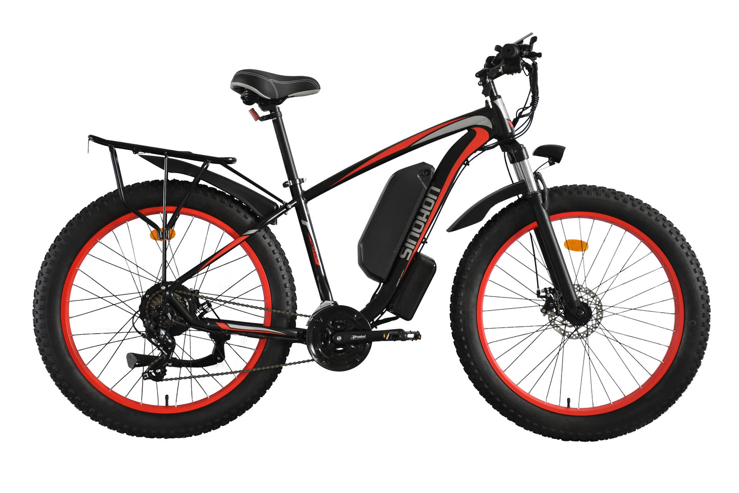 Pro E-Bike 1000W
